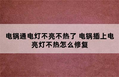 电锅通电灯不亮不热了 电锅插上电亮灯不热怎么修复